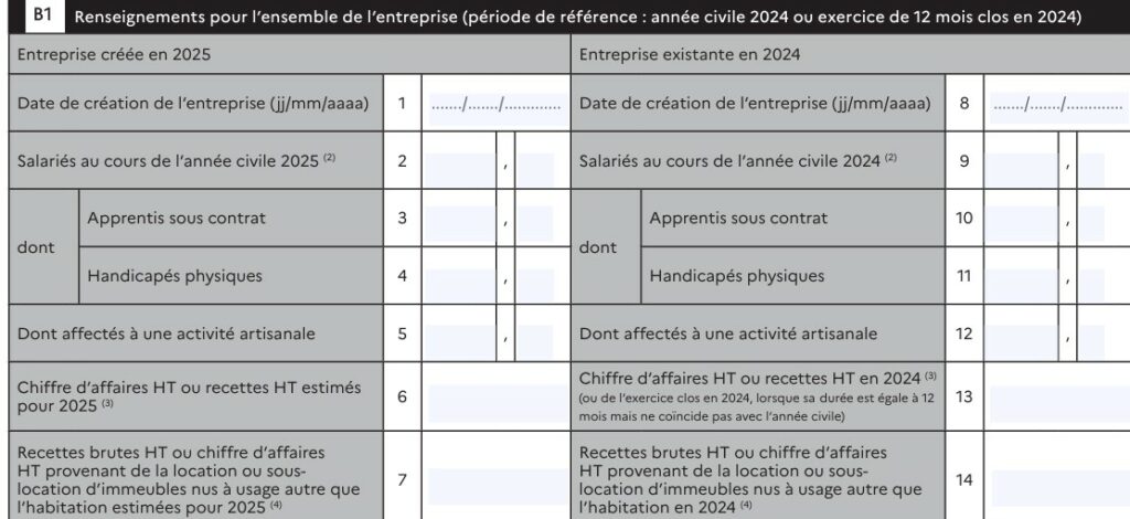 Déclaration de CFE - cadre B1 